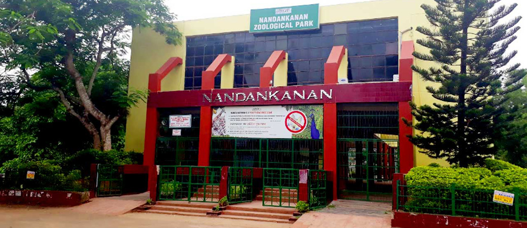 nadankanan